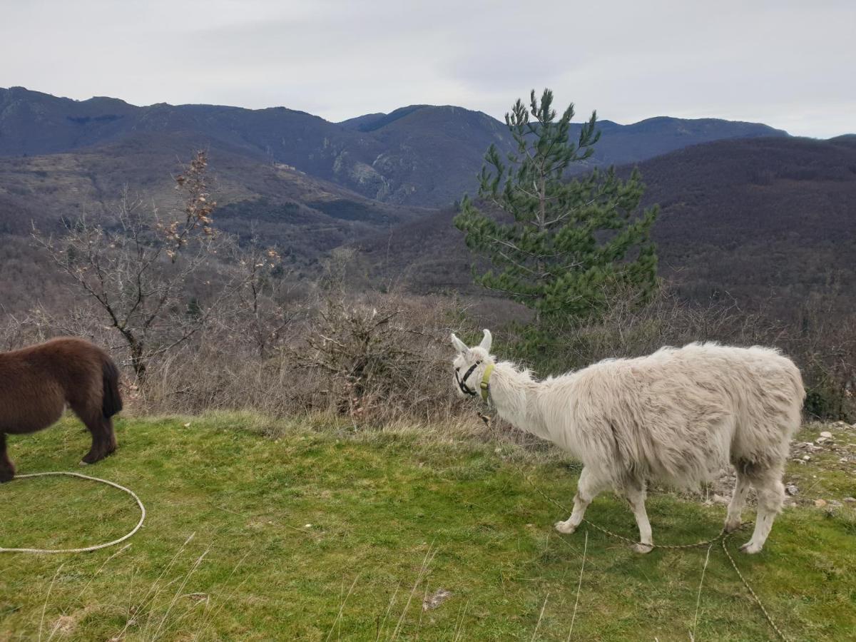 ArreMaison Au Pied Du Parc National Des Cevennes别墅 外观 照片